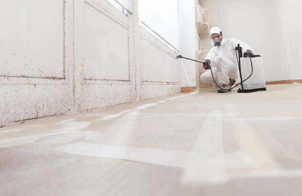 24/7 Emergency Mold Remediation experts in Rapidan, VA